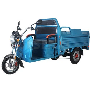 Electric Cargo Tricycle EEC